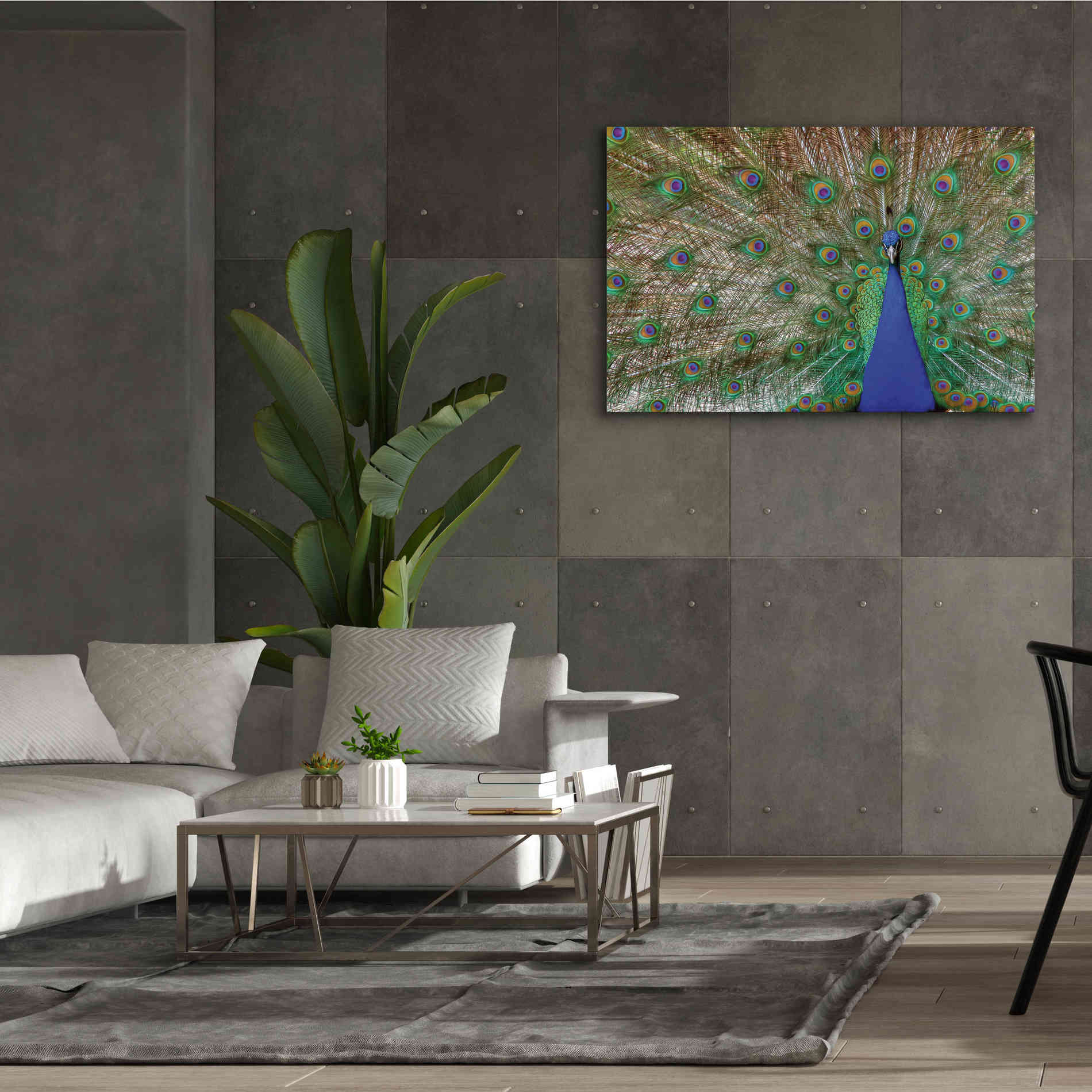 'Peacock' by Lori Deiter, Canvas Wall Art,60 x 40