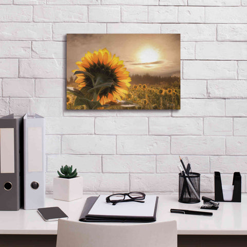 Image of 'Sunlit Sunflower' by Lori Deiter, Canvas Wall Art,18 x 12