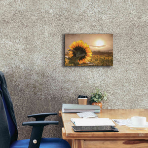 'Sunlit Sunflower' by Lori Deiter, Canvas Wall Art,18 x 12