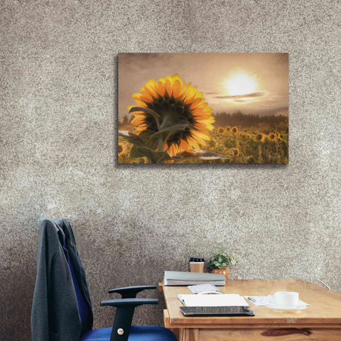 Image of 'Sunlit Sunflower' by Lori Deiter, Canvas Wall Art,40 x 26