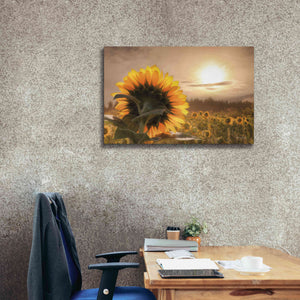 'Sunlit Sunflower' by Lori Deiter, Canvas Wall Art,40 x 26