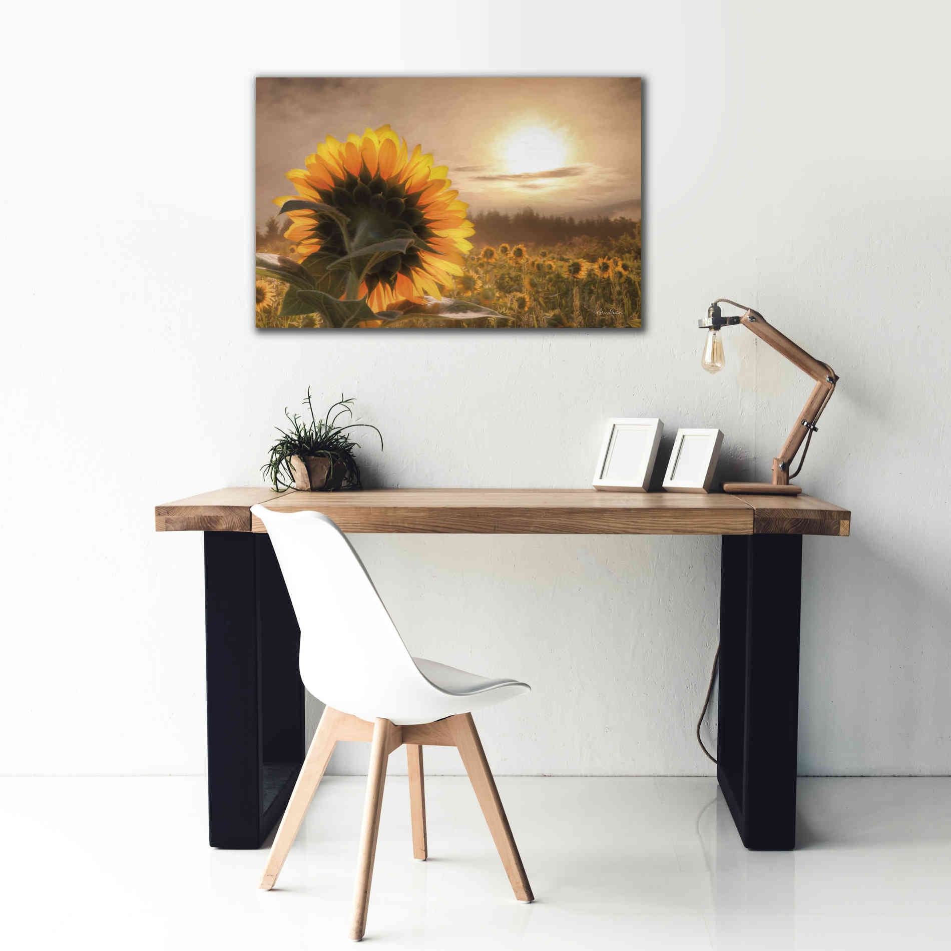 'Sunlit Sunflower' by Lori Deiter, Canvas Wall Art,40 x 26