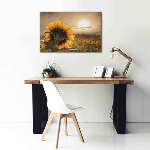Image of 'Sunlit Sunflower' by Lori Deiter, Canvas Wall Art,40 x 26
