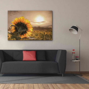 'Sunlit Sunflower' by Lori Deiter, Canvas Wall Art,60 x 40