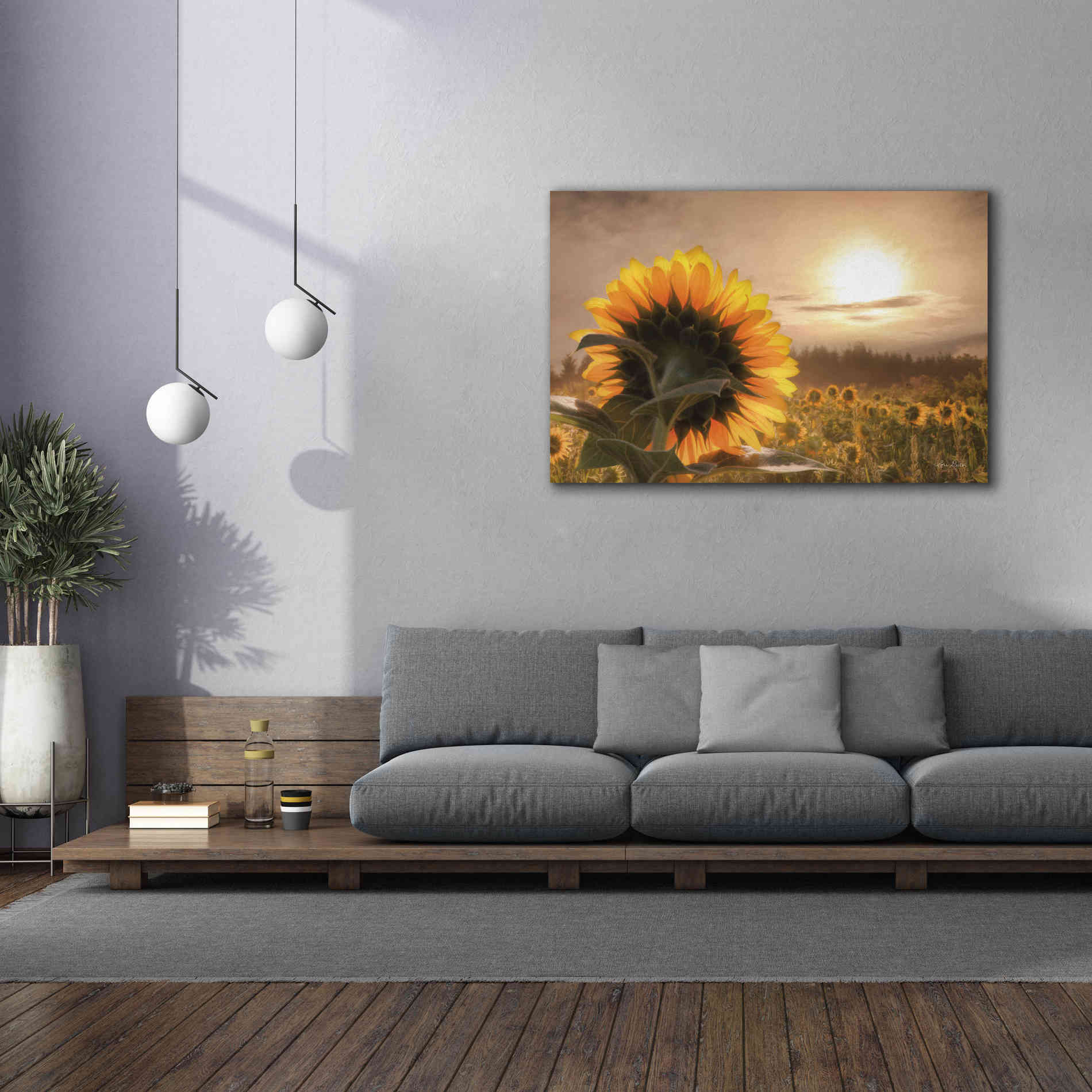 'Sunlit Sunflower' by Lori Deiter, Canvas Wall Art,60 x 40