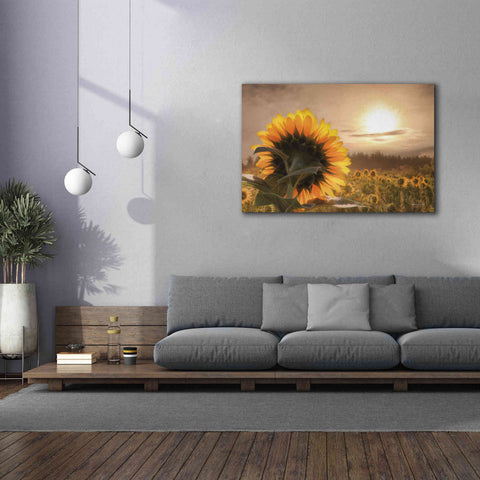 Image of 'Sunlit Sunflower' by Lori Deiter, Canvas Wall Art,60 x 40