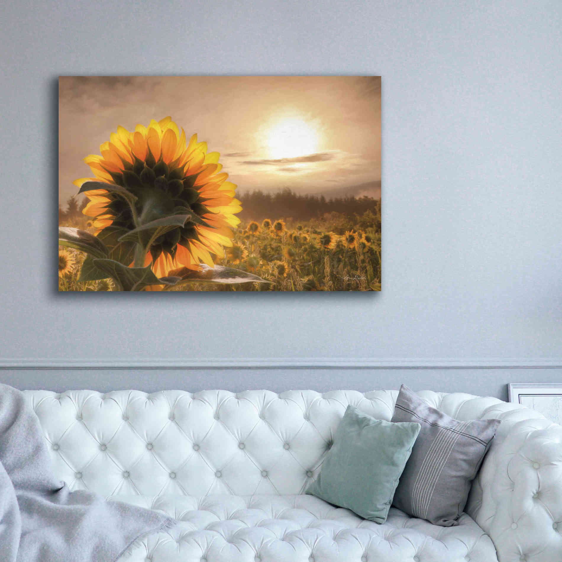 'Sunlit Sunflower' by Lori Deiter, Canvas Wall Art,60 x 40