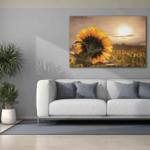 Image of 'Sunlit Sunflower' by Lori Deiter, Canvas Wall Art,60 x 40