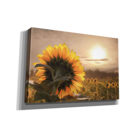 Image of 'Sunlit Sunflower' by Lori Deiter, Canvas Wall Art