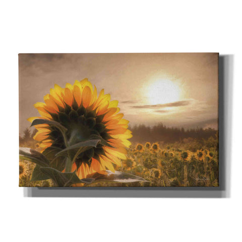 Image of 'Sunlit Sunflower' by Lori Deiter, Canvas Wall Art