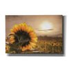 'Sunlit Sunflower' by Lori Deiter, Canvas Wall Art