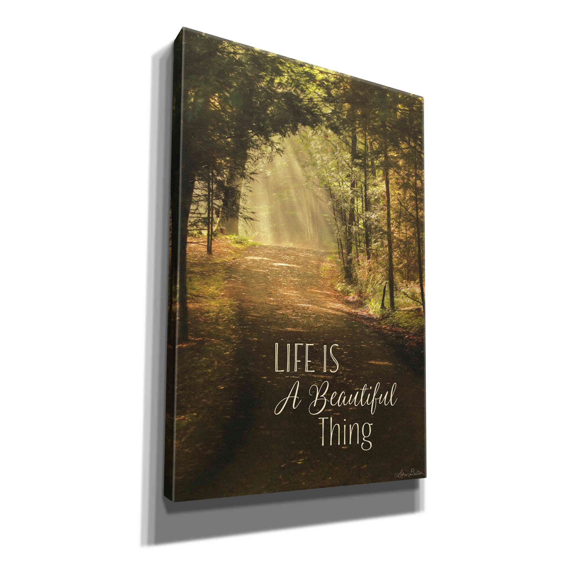 'Life is a Beautiful Thing' by Lori Deiter, Canvas Wall Art