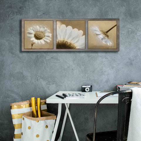 Image of 'Daisy Trio' by Lori Deiter, Canvas Wall Art,36 x 12