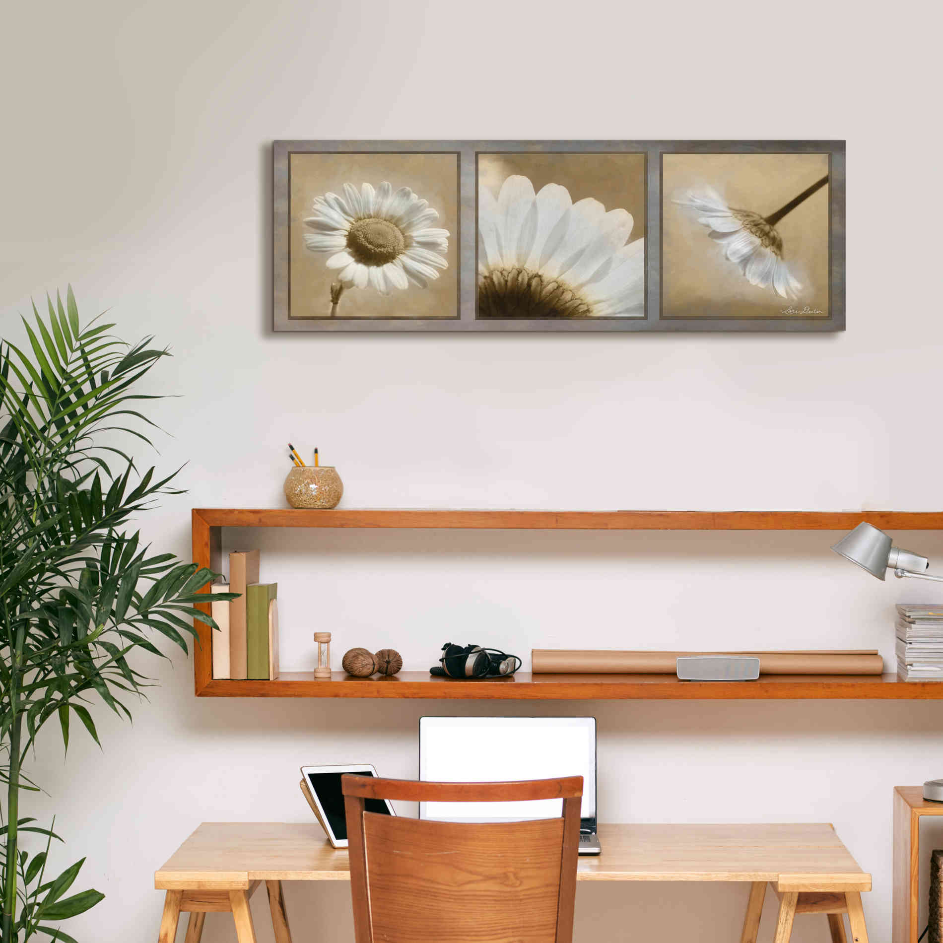 'Daisy Trio' by Lori Deiter, Canvas Wall Art,36 x 12