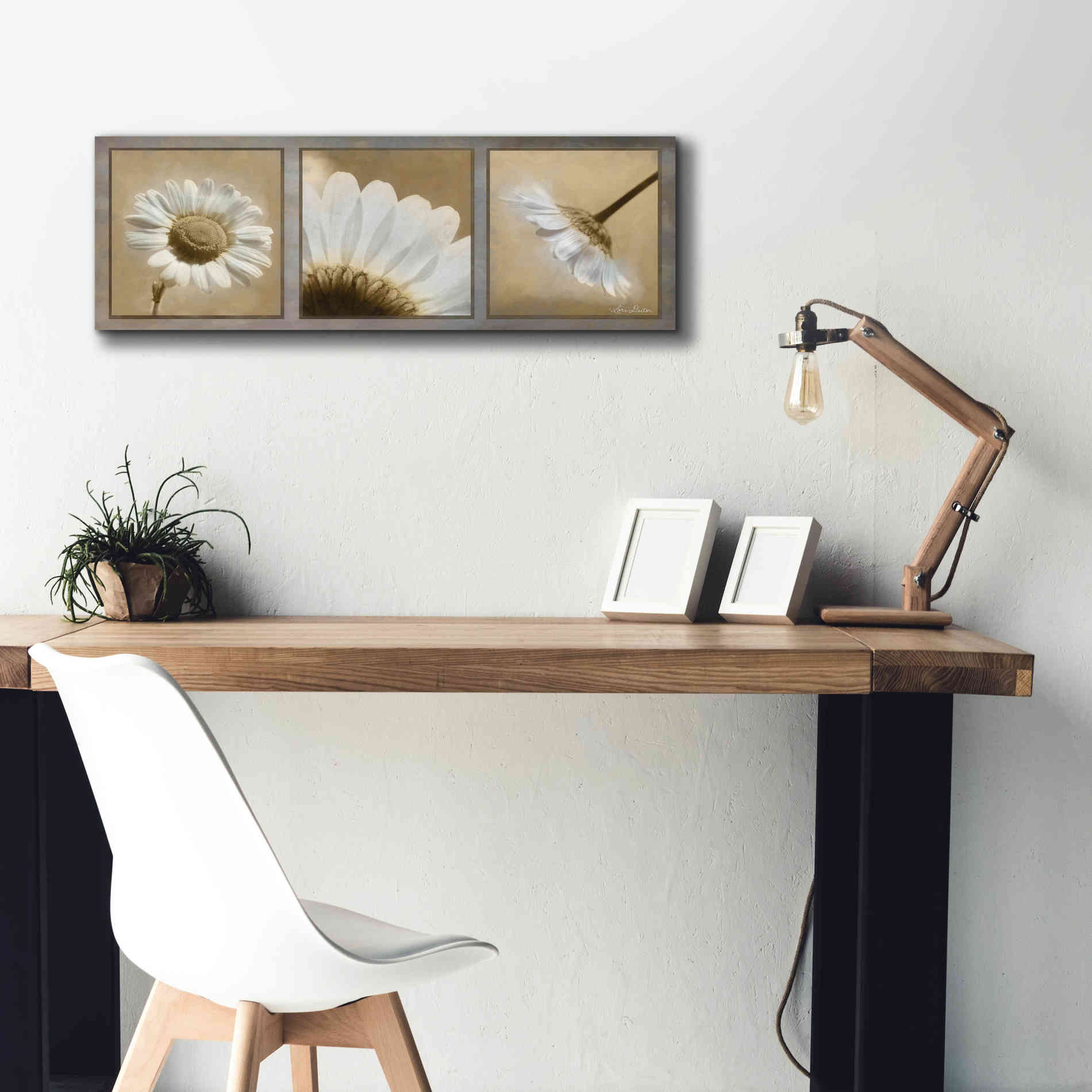 'Daisy Trio' by Lori Deiter, Canvas Wall Art,60 x 20