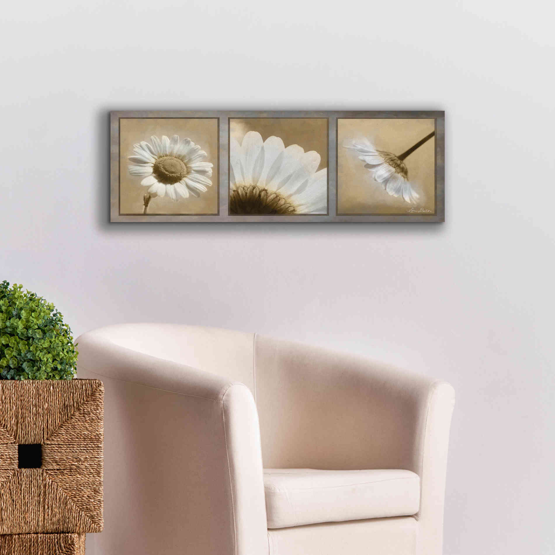 'Daisy Trio' by Lori Deiter, Canvas Wall Art,60 x 20