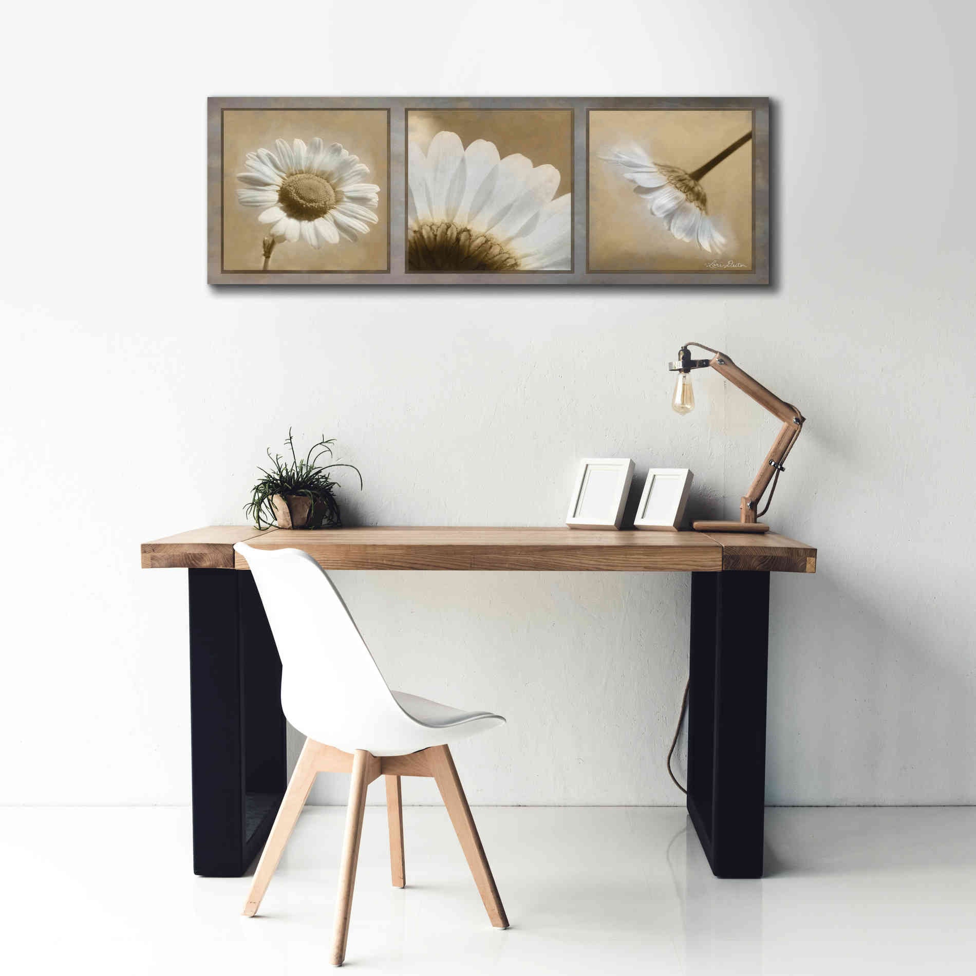 'Daisy Trio' by Lori Deiter, Canvas Wall Art,60 x 20