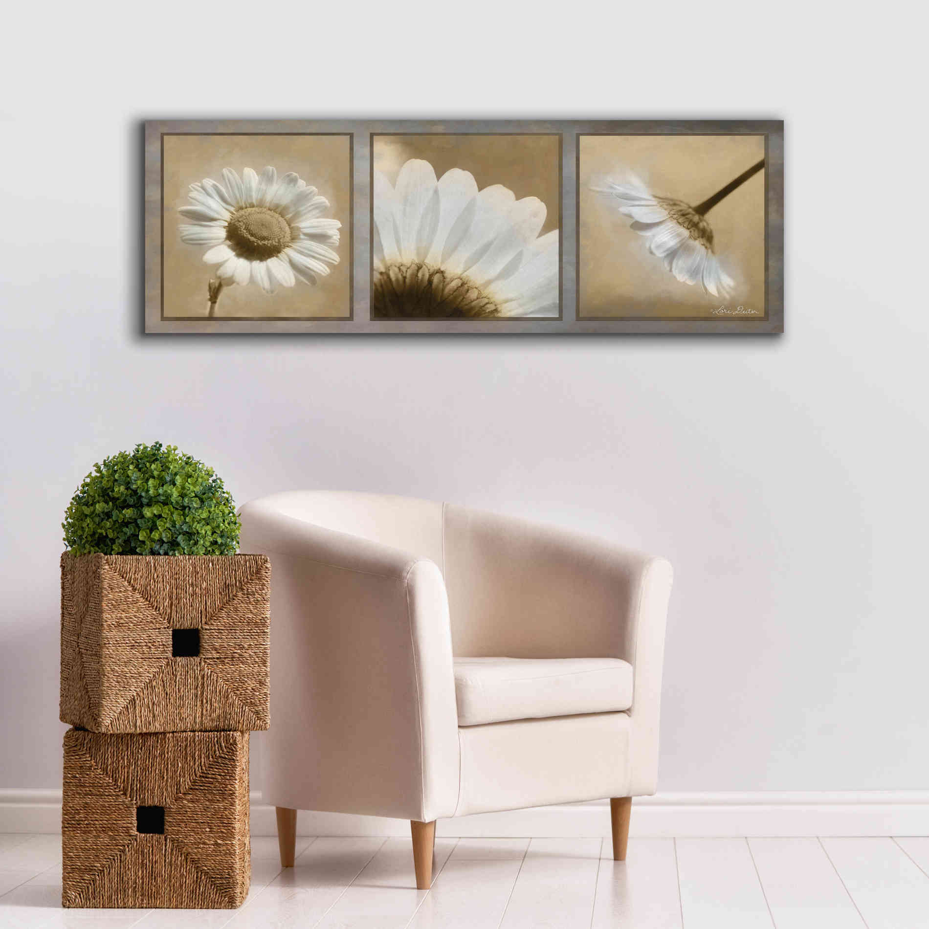 'Daisy Trio' by Lori Deiter, Canvas Wall Art,60 x 20