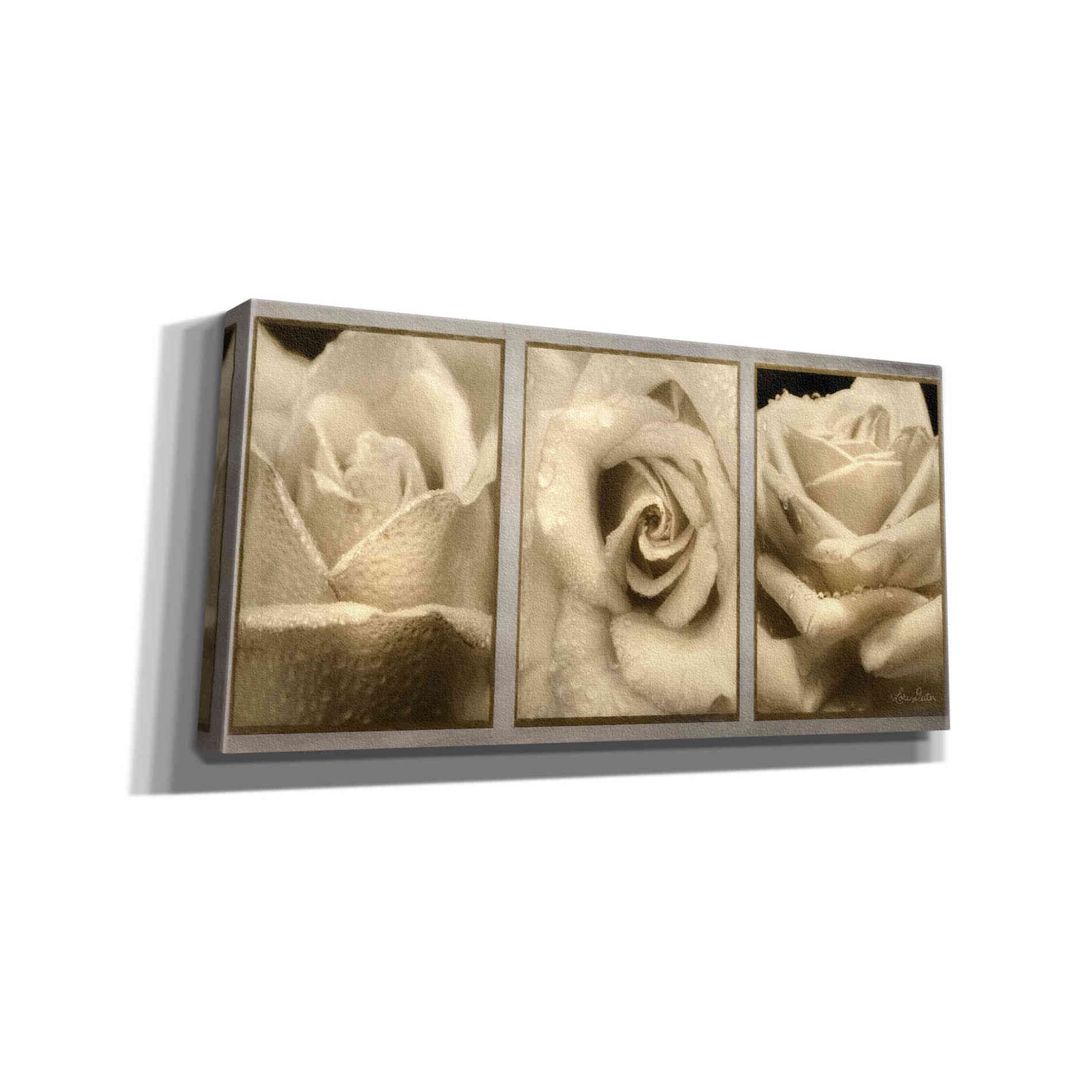 'Rose Trio' by Lori Deiter, Canvas Wall Art
