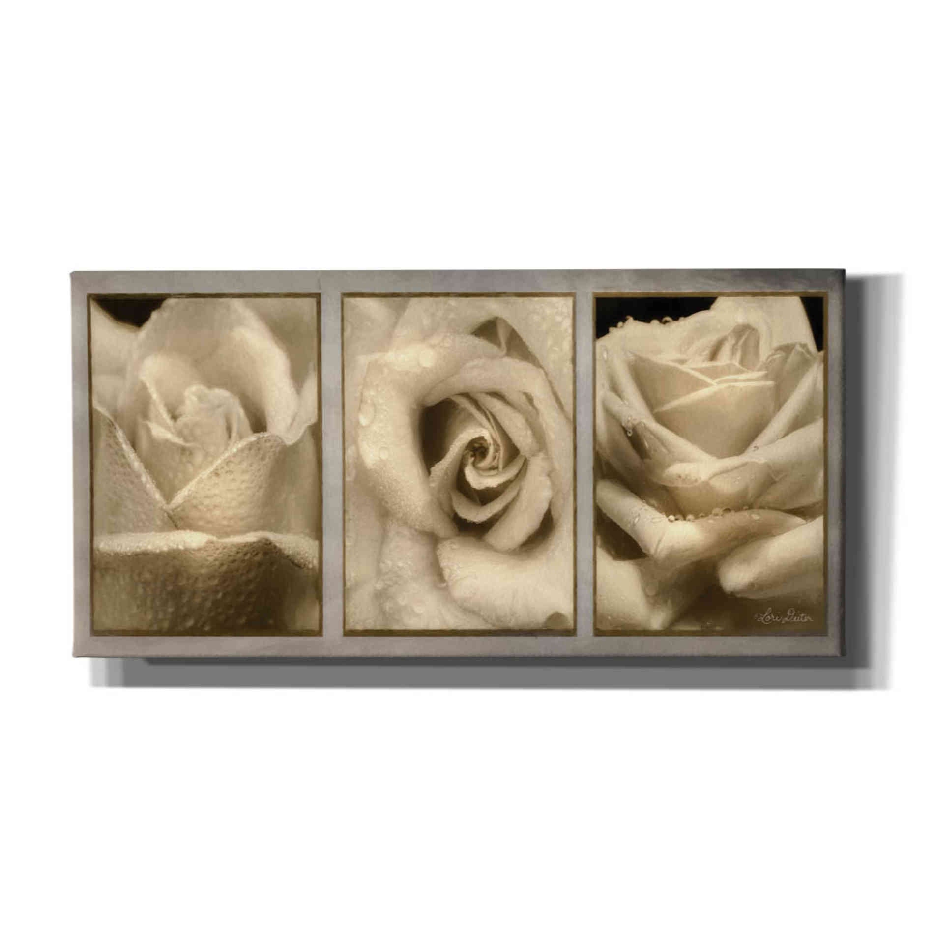 'Rose Trio' by Lori Deiter, Canvas Wall Art