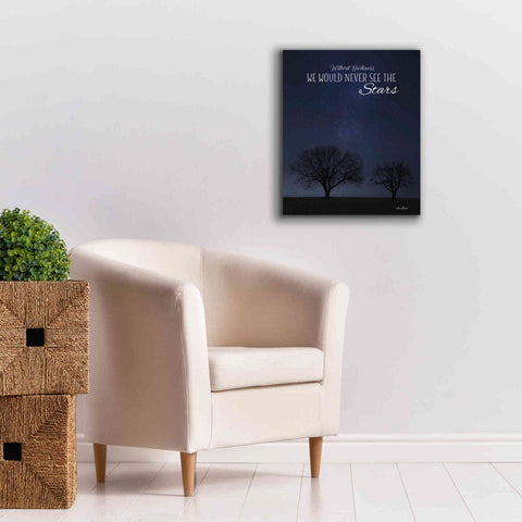 Image of 'See the Stars' by Lori Deiter, Canvas Wall Art,20 x 24