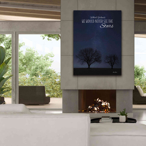 Image of 'See the Stars' by Lori Deiter, Canvas Wall Art,40 x 54