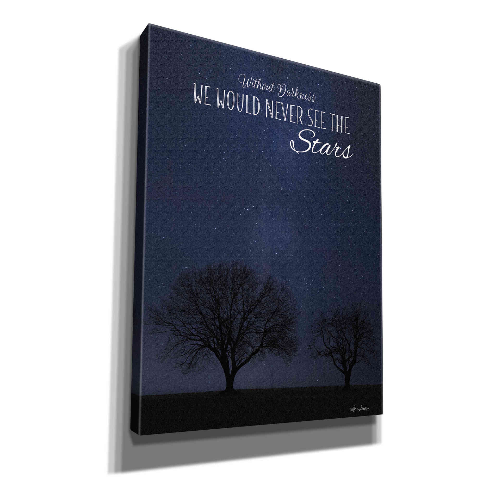 'See the Stars' by Lori Deiter, Canvas Wall Art