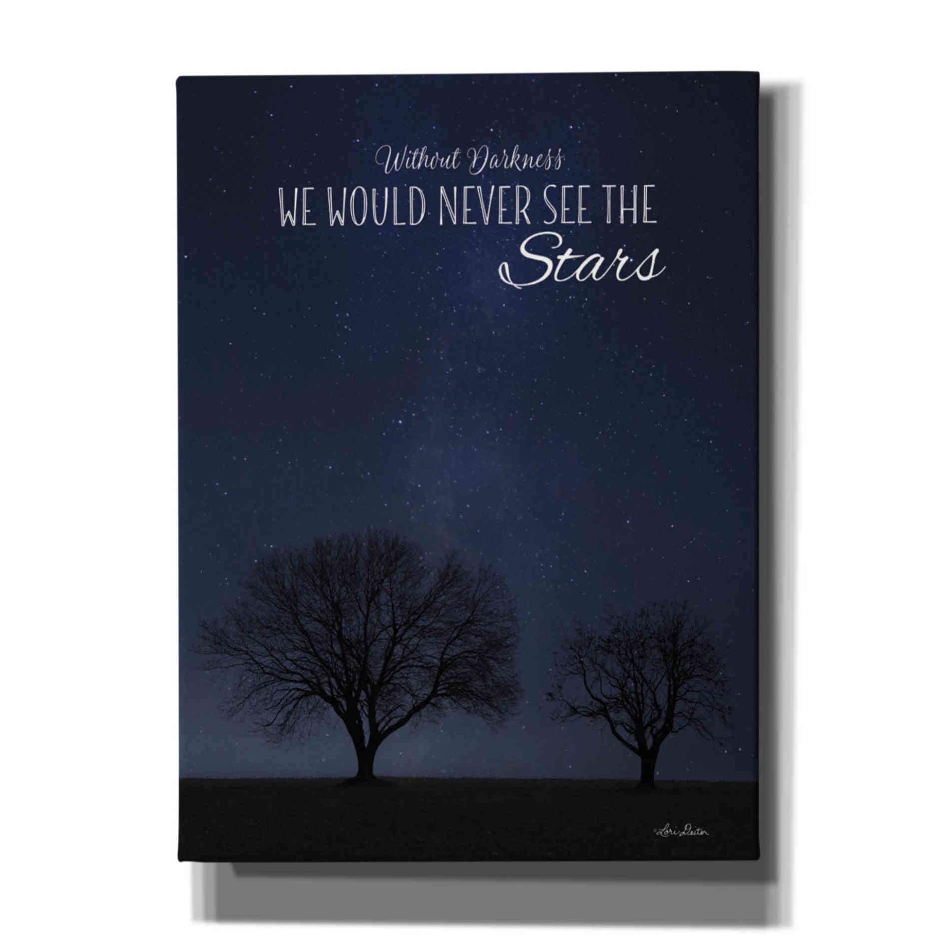 'See the Stars' by Lori Deiter, Canvas Wall Art