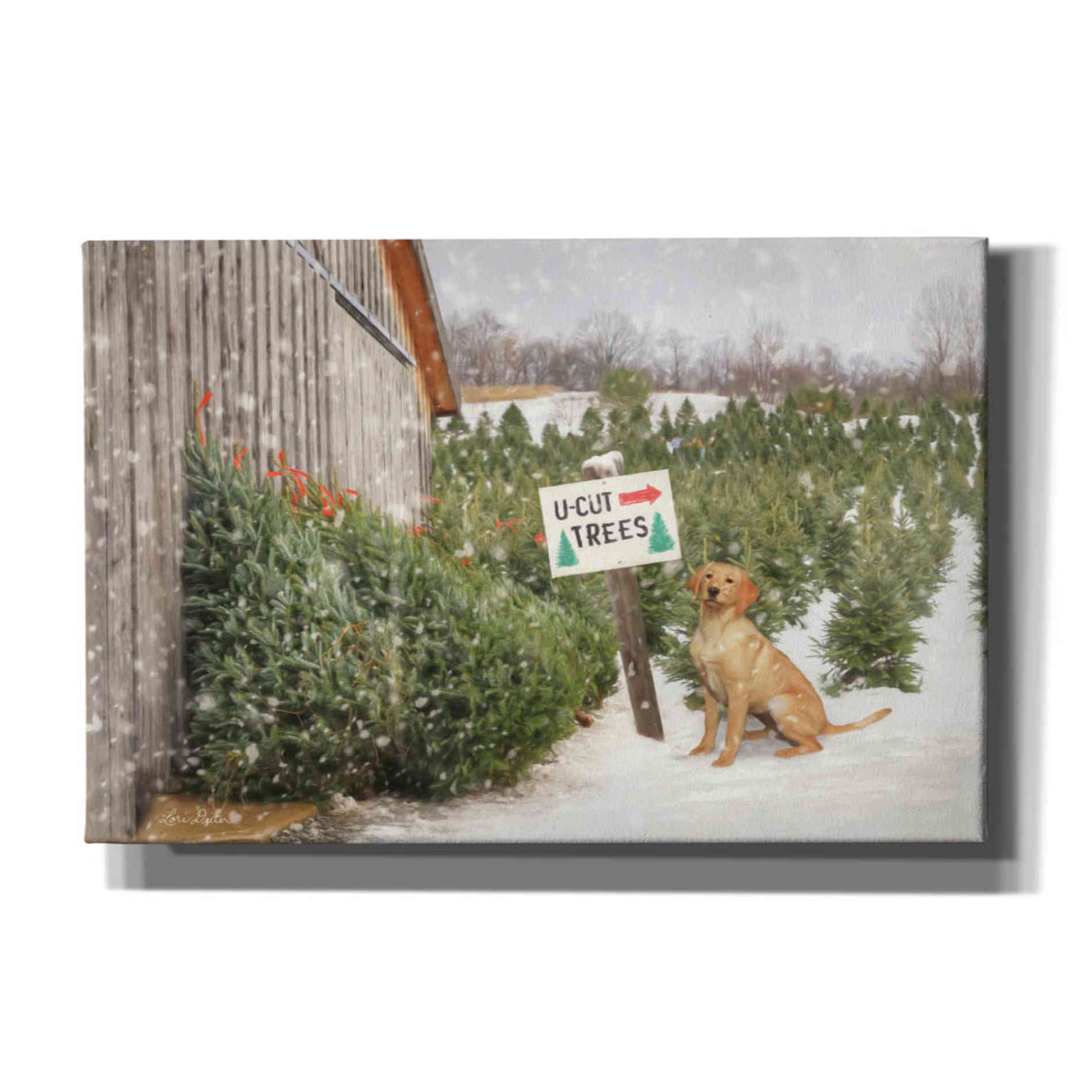 'U-Cut Trees' by Lori Deiter, Canvas Wall Art