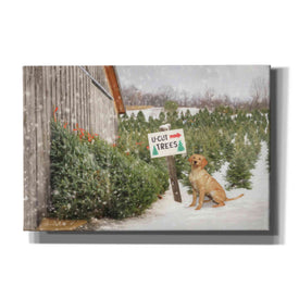 'U-Cut Trees' by Lori Deiter, Canvas Wall Art