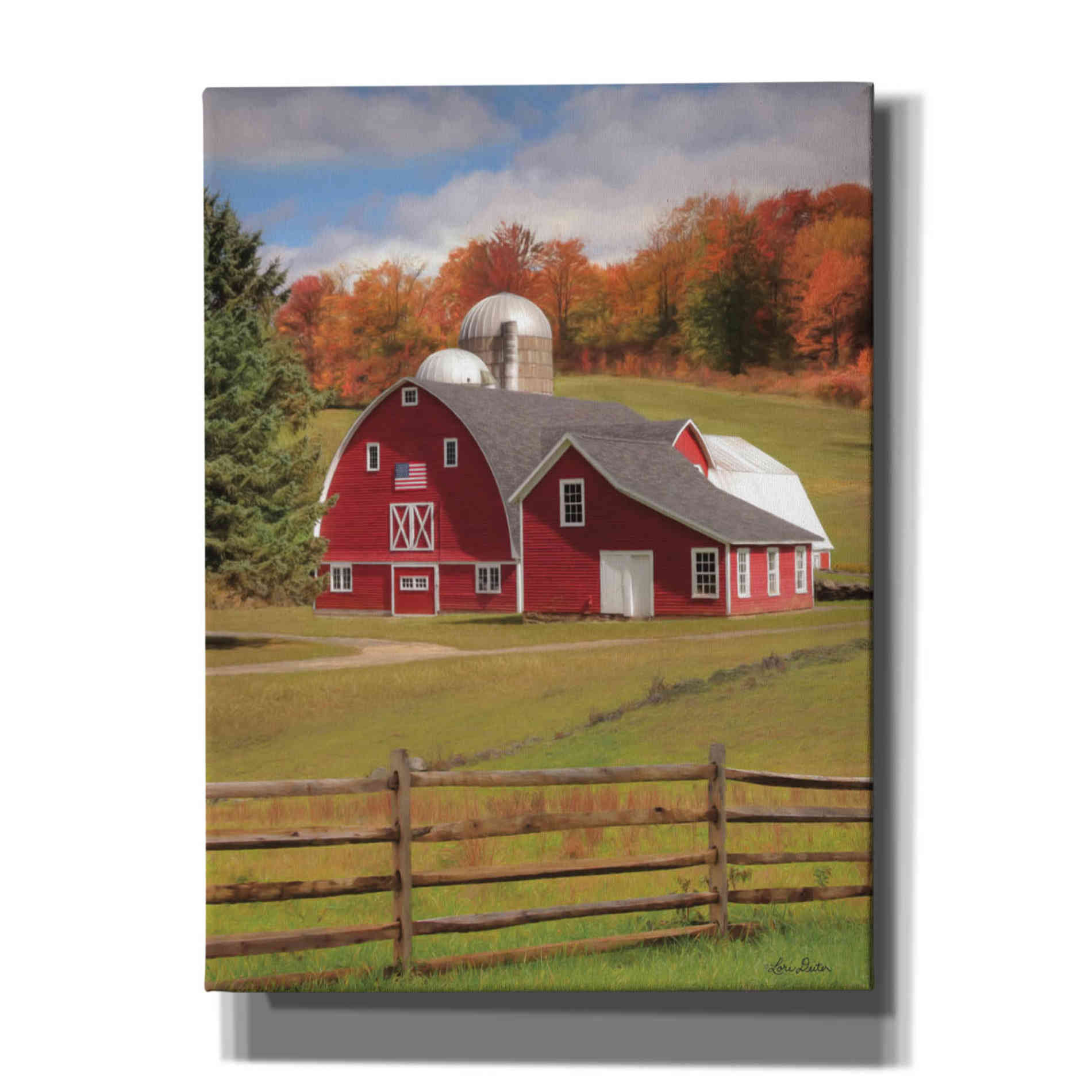 'One Flag, One Land' by Lori Deiter, Canvas Wall Art