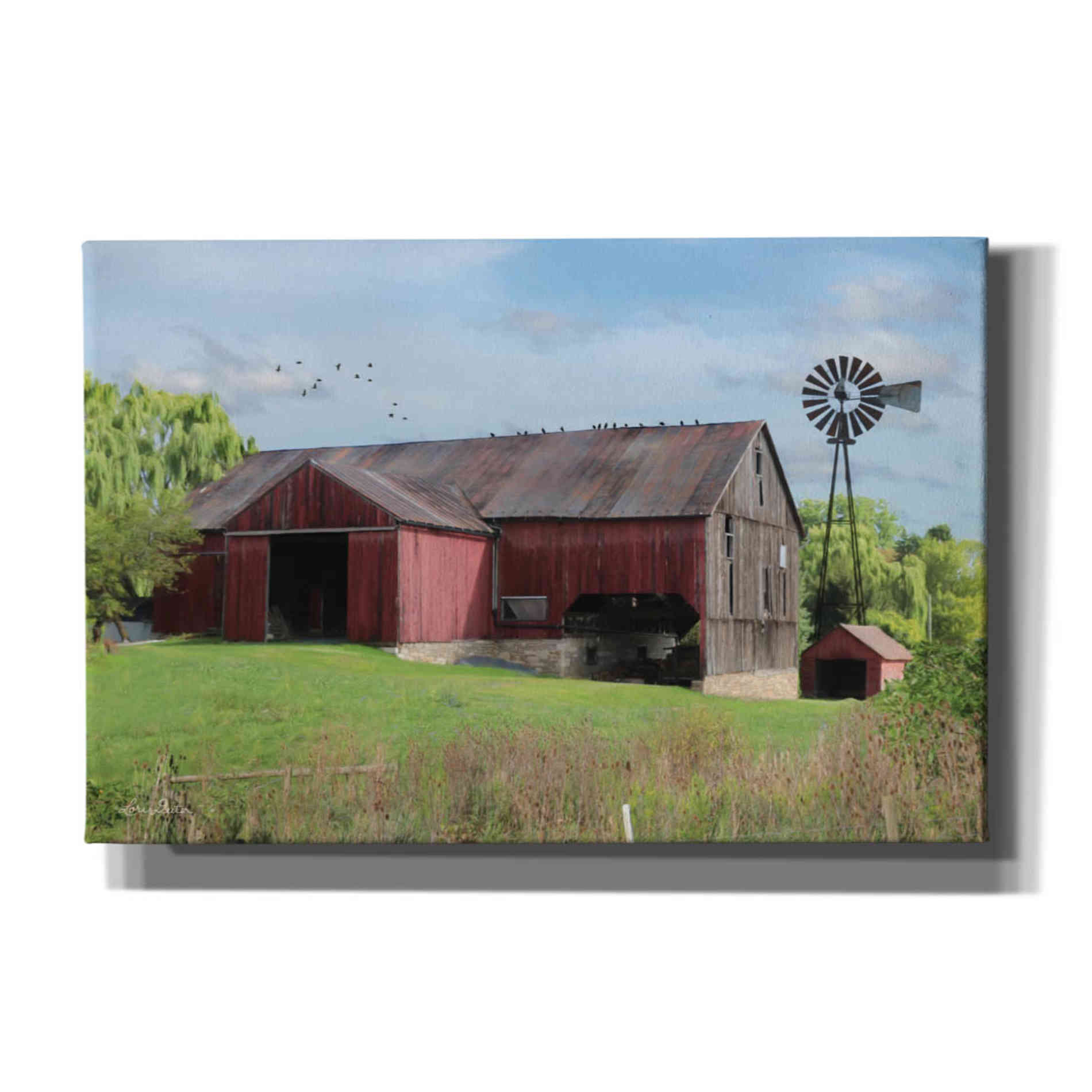 'Summer in Pennsylvania' by Lori Deiter, Canvas Wall Art