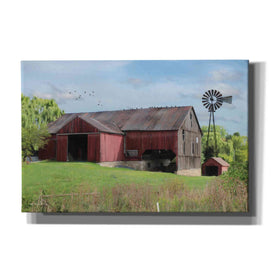 'Summer in Pennsylvania' by Lori Deiter, Canvas Wall Art