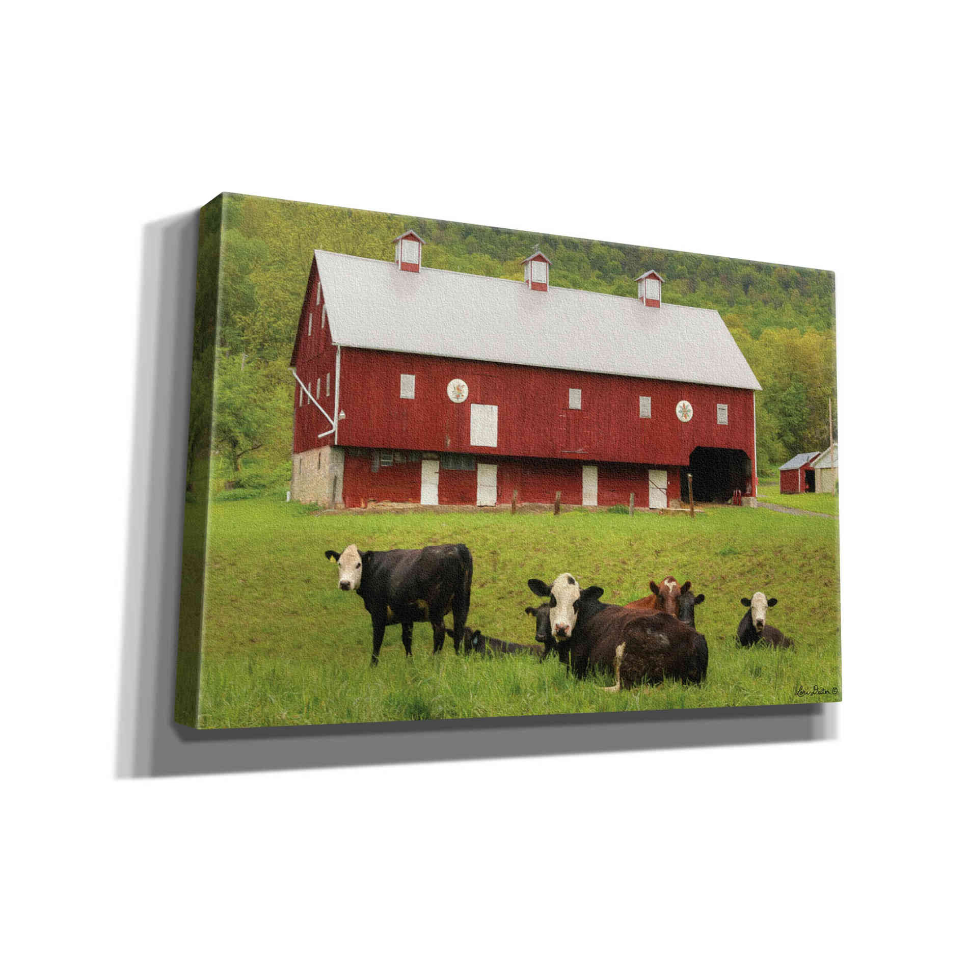 'Red Barn' by Lori Deiter, Canvas Wall Art