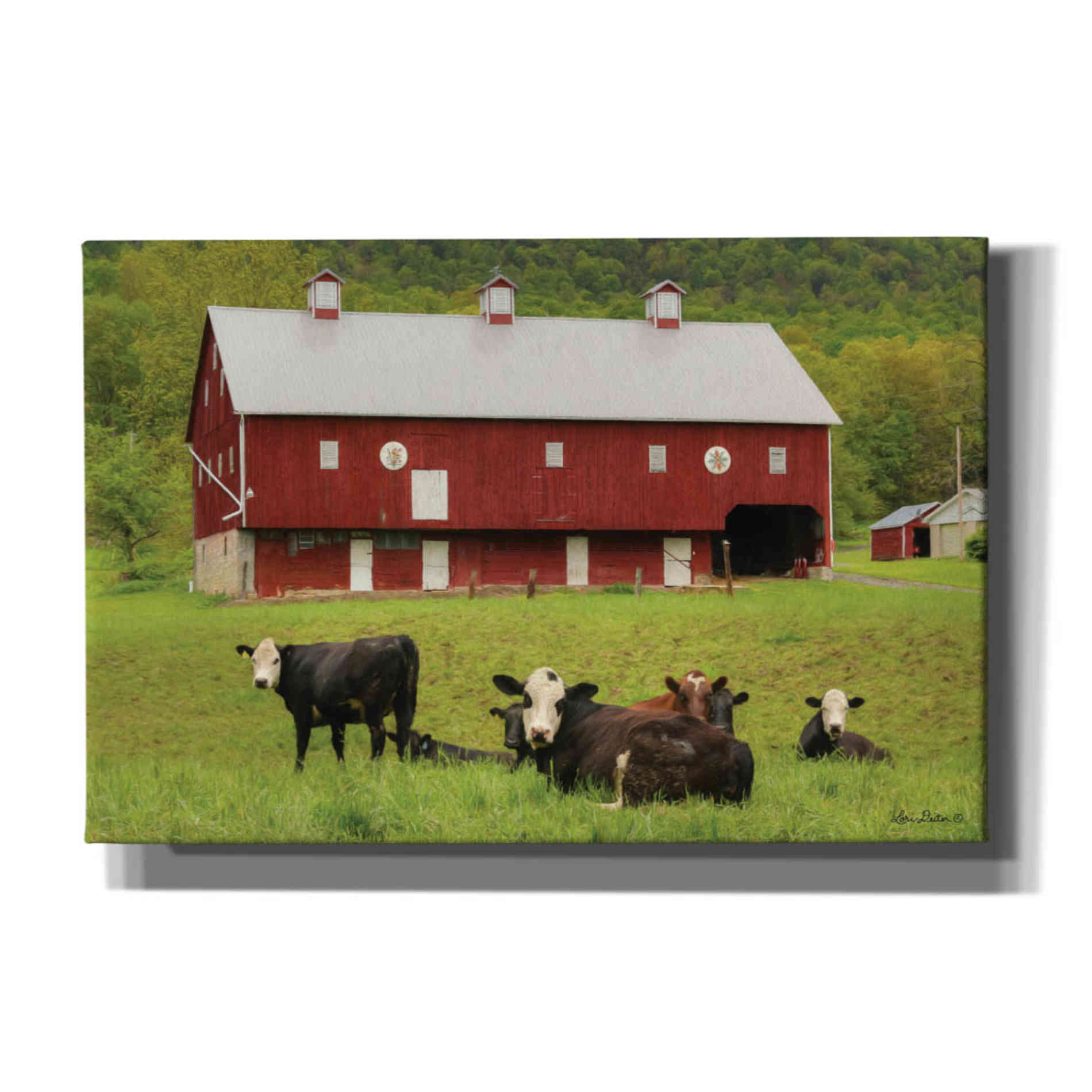 'Red Barn' by Lori Deiter, Canvas Wall Art