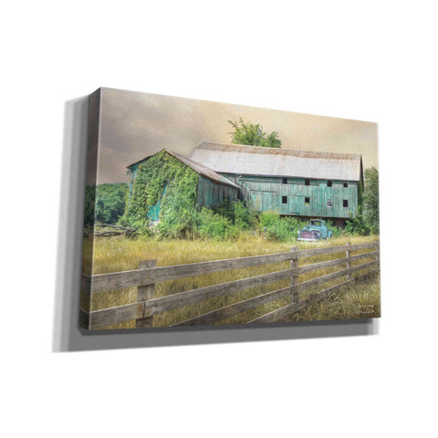 Image of 'Overgrown' by Lori Deiter, Canvas Wall Art