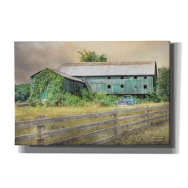'Overgrown' by Lori Deiter, Canvas Wall Art