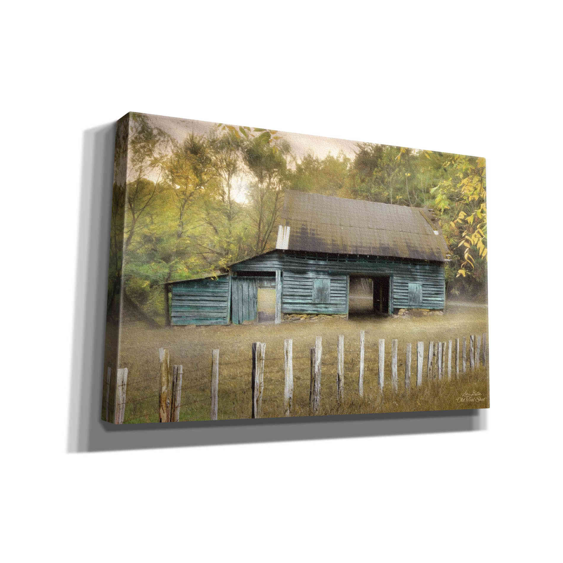 'Old Teal Shed' by Lori Deiter, Canvas Wall Art