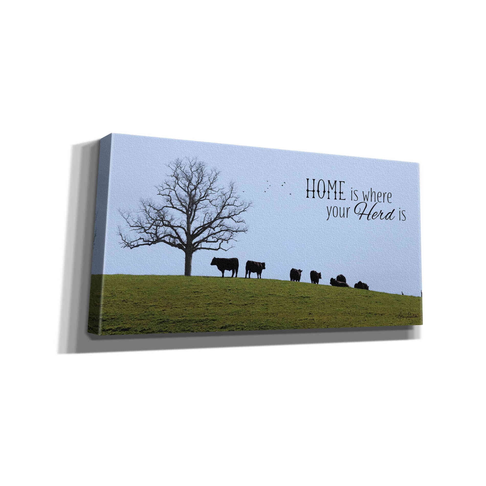 'Home Is Where Your Herd Is' by Lori Deiter, Canvas Wall Art