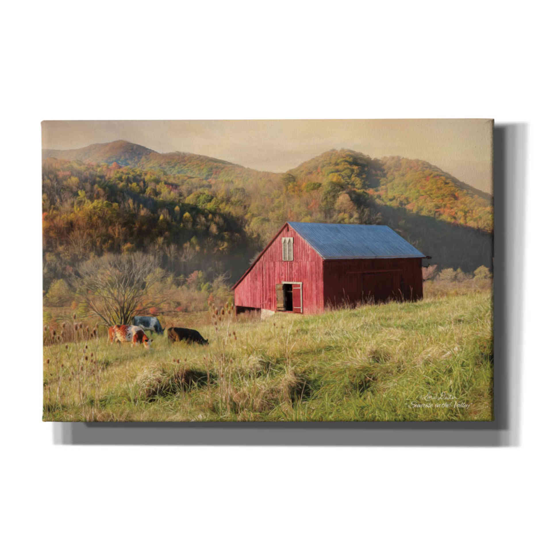 'Sunrise in the Valley' by Lori Deiter, Canvas Wall Art