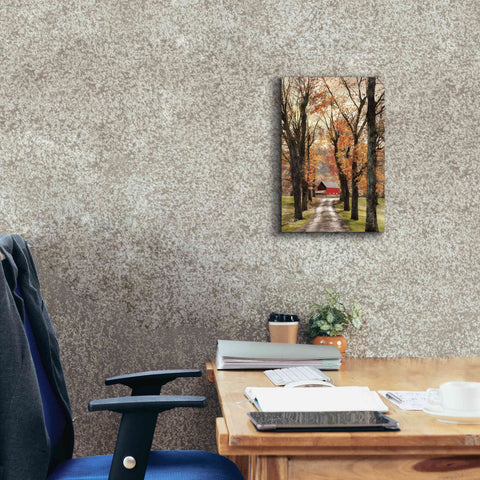 Image of 'On Those Country Roads' by Lori Deiter, Canvas Wall Art,12 x 18