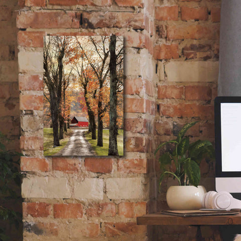 Image of 'On Those Country Roads' by Lori Deiter, Canvas Wall Art,12 x 18