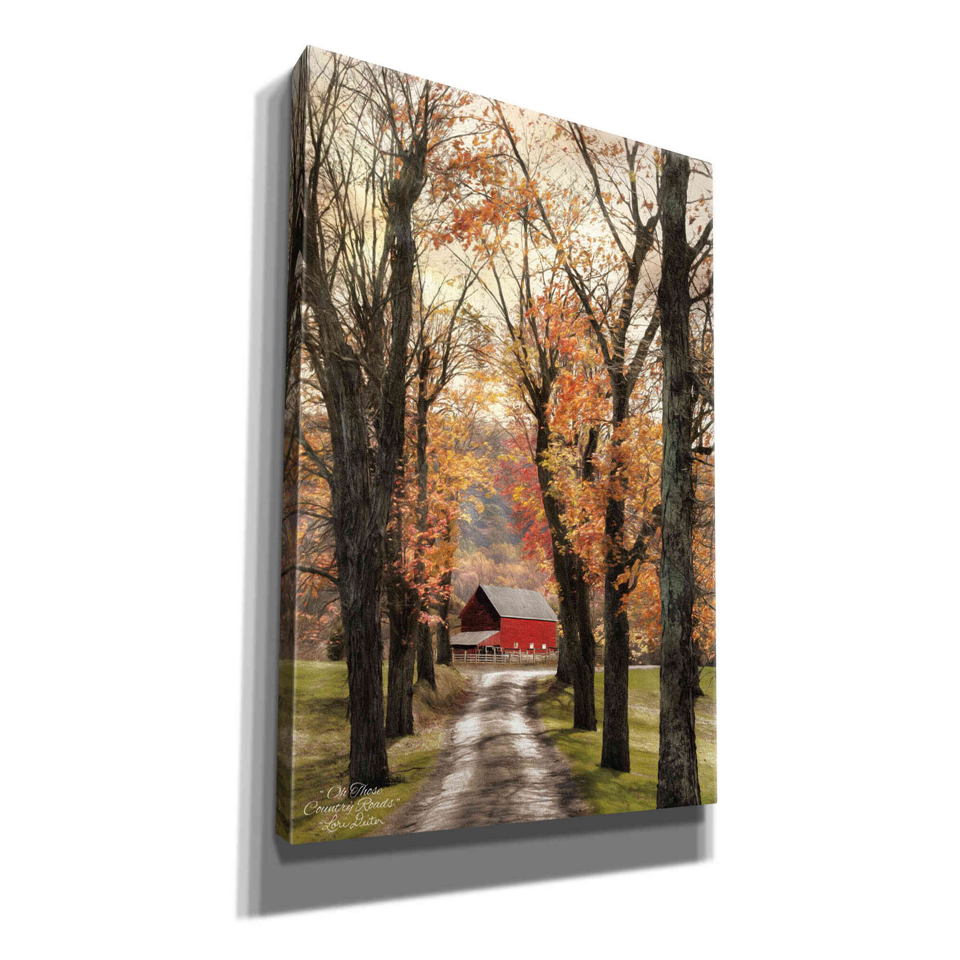 'On Those Country Roads' by Lori Deiter, Canvas Wall Art