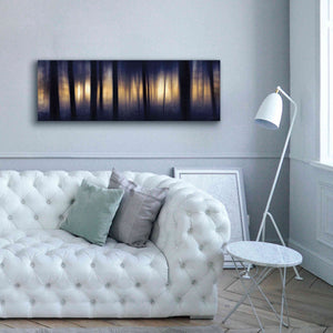 'Edge of the Forest' by Lori Deiter, Canvas Wall Art,60 x 20