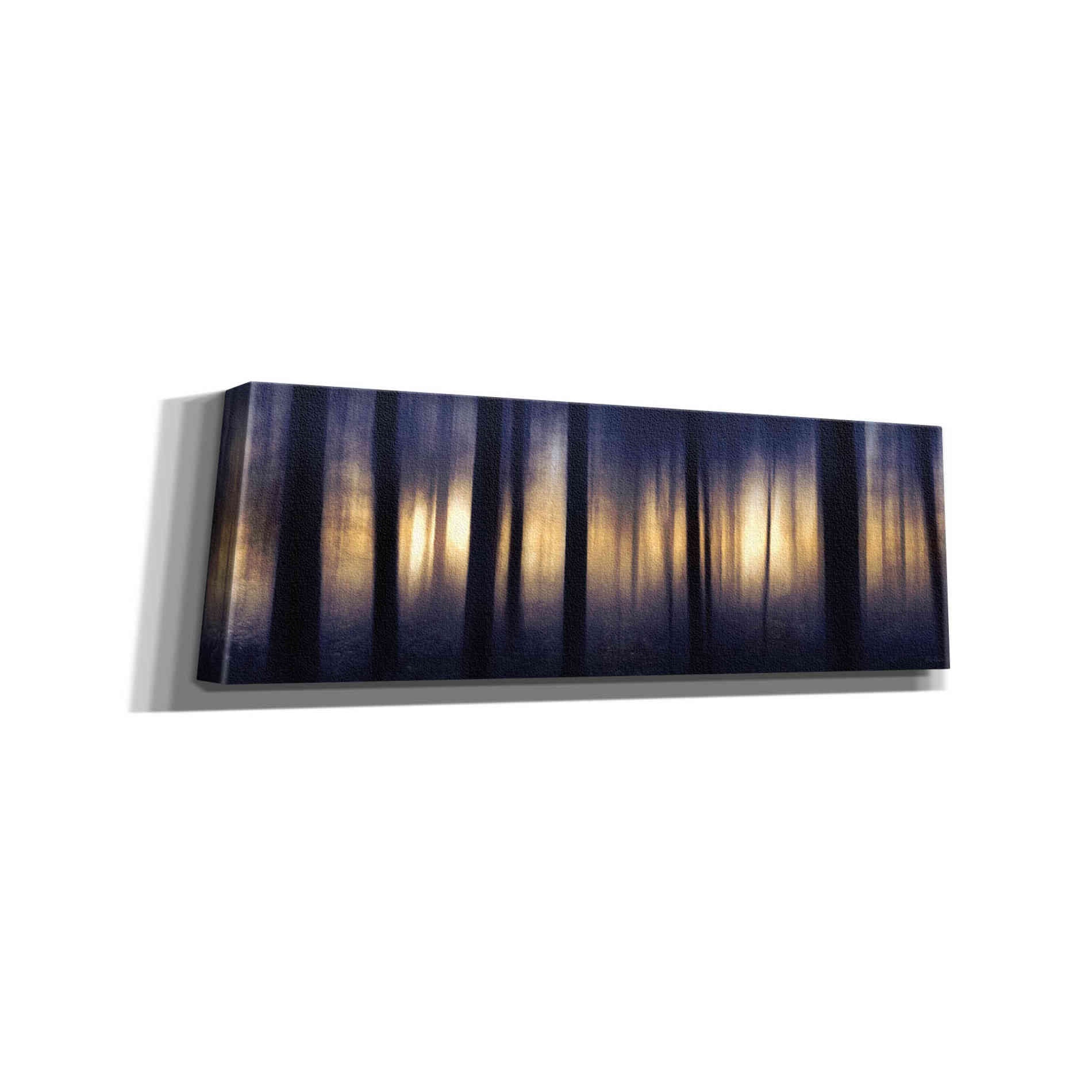 'Edge of the Forest' by Lori Deiter, Canvas Wall Art