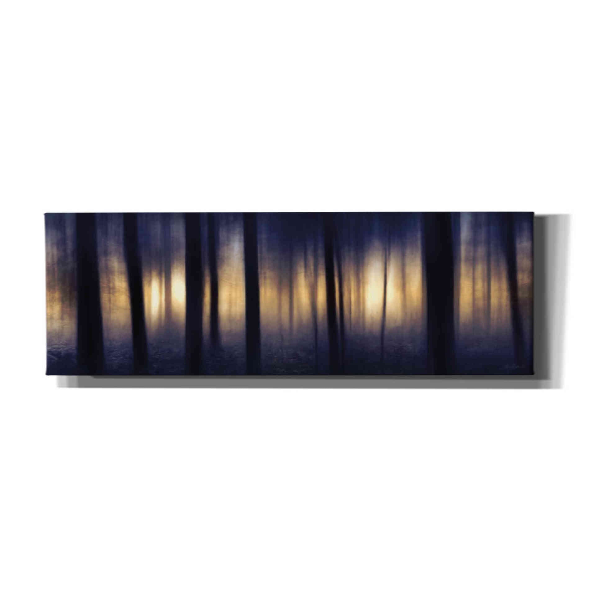 'Edge of the Forest' by Lori Deiter, Canvas Wall Art