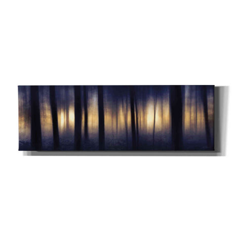 Image of 'Edge of the Forest' by Lori Deiter, Canvas Wall Art