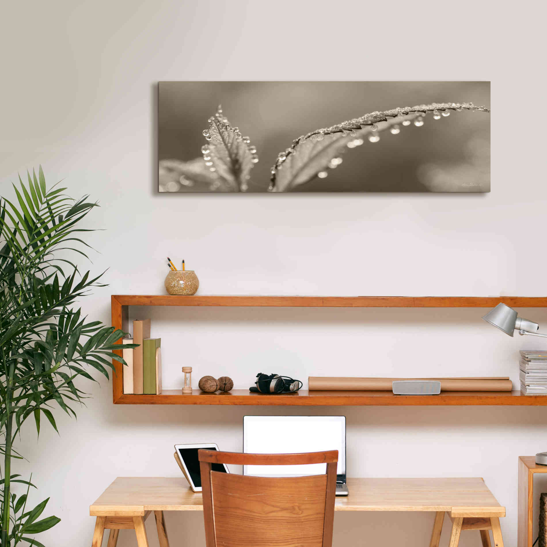 'Dewey Morning' by Lori Deiter, Canvas Wall Art,36 x 12