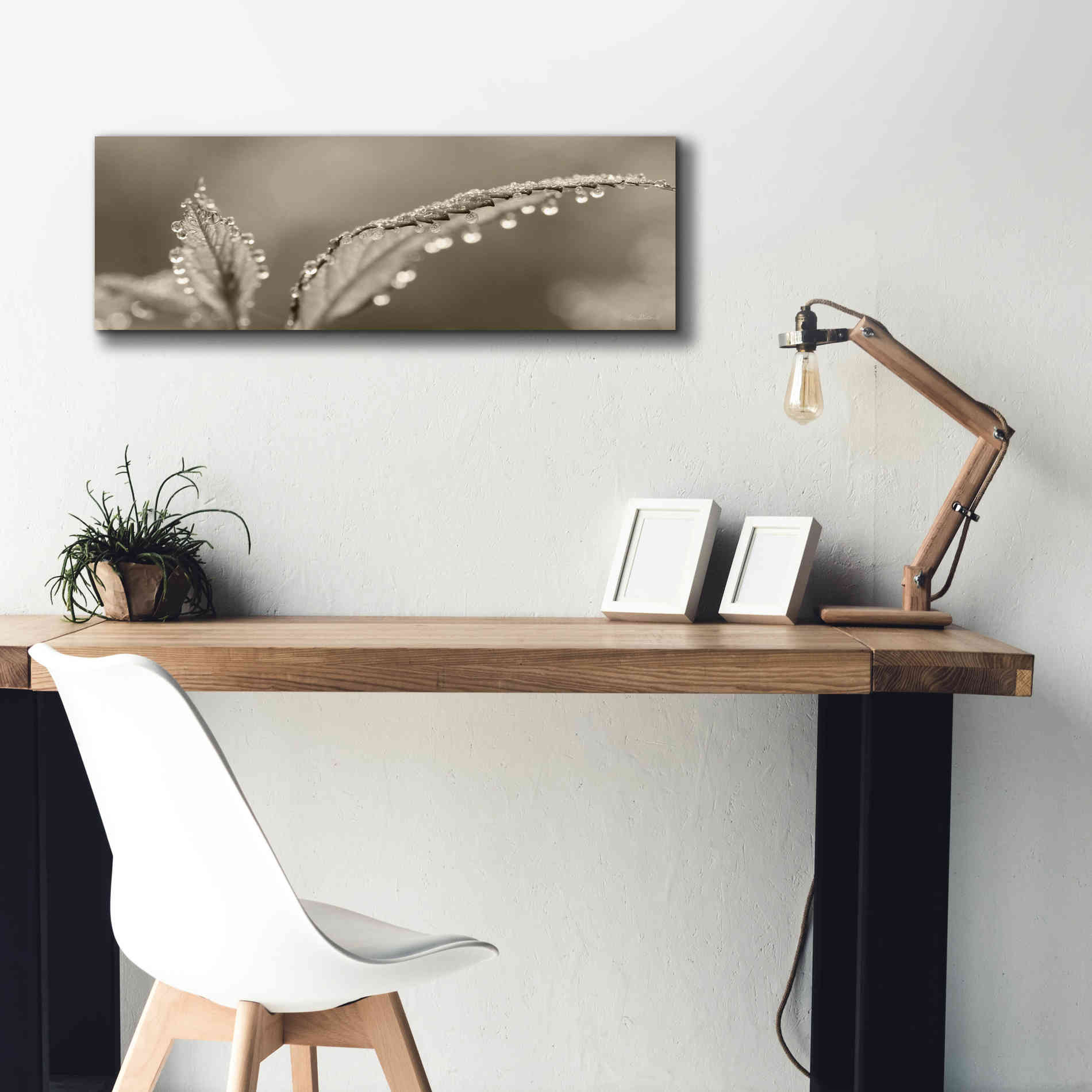 'Dewey Morning' by Lori Deiter, Canvas Wall Art,36 x 12