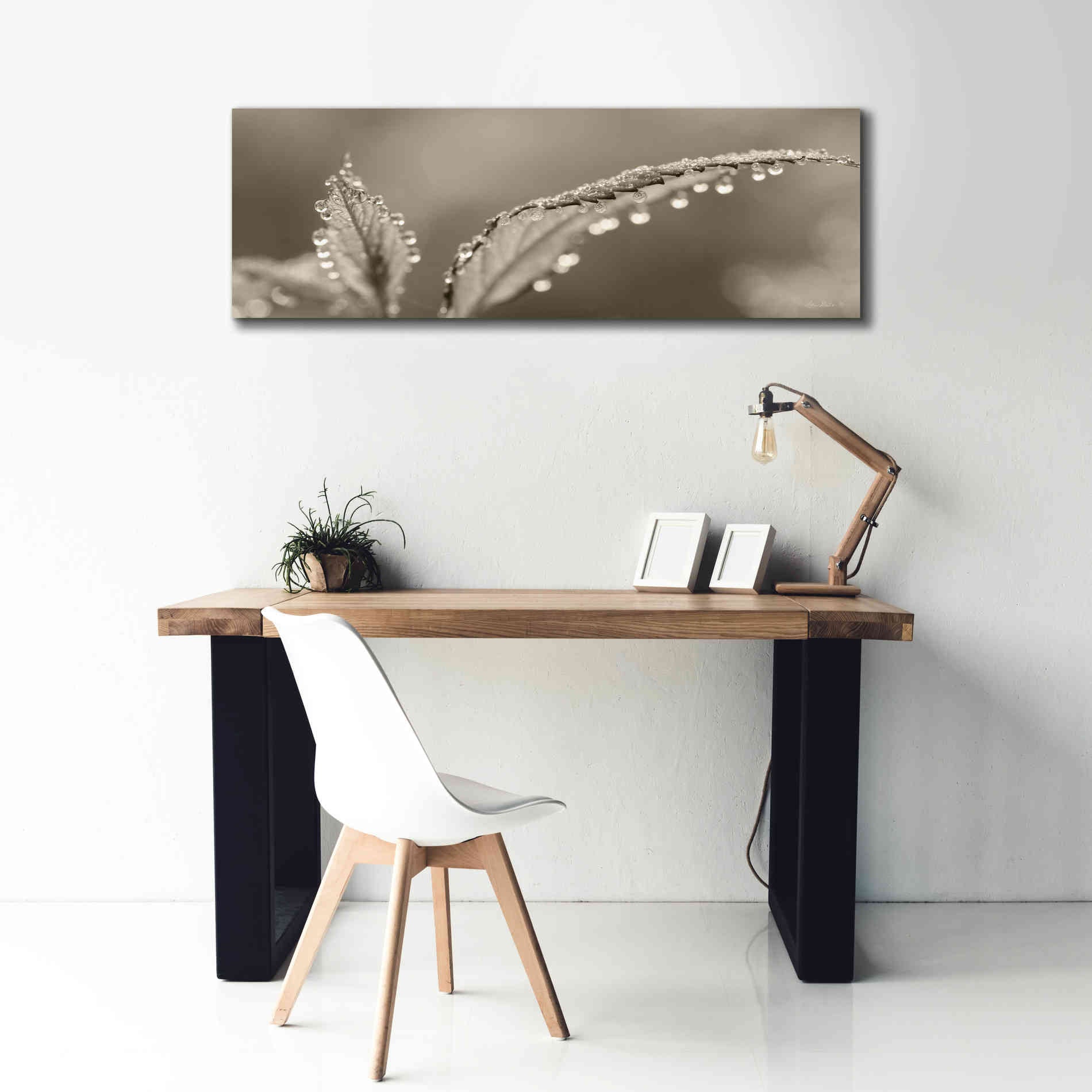 'Dewey Morning' by Lori Deiter, Canvas Wall Art,60 x 20